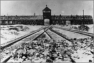 auschwitz.jpg